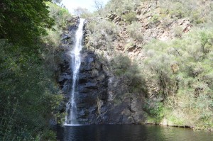 Waterfall Gully - the start of the hike up to Mount Lofty