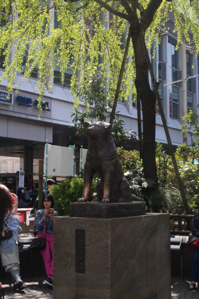Famous Hachiko statue! Study Abroad and Exchange Blog