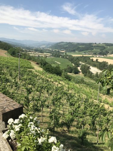 View of the Arda Valley, home of local Piacentini wine